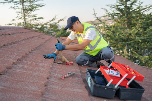 Best Roof Maintenance Services  in Greenwood, MS